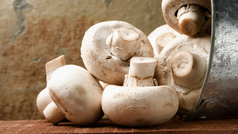 Benefices champignons dans lalimentation regime lev diet